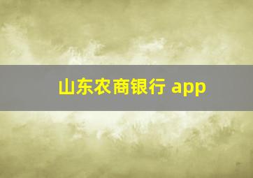 山东农商银行 app